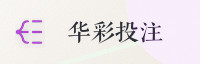 合作伙伴